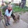 John with puppies